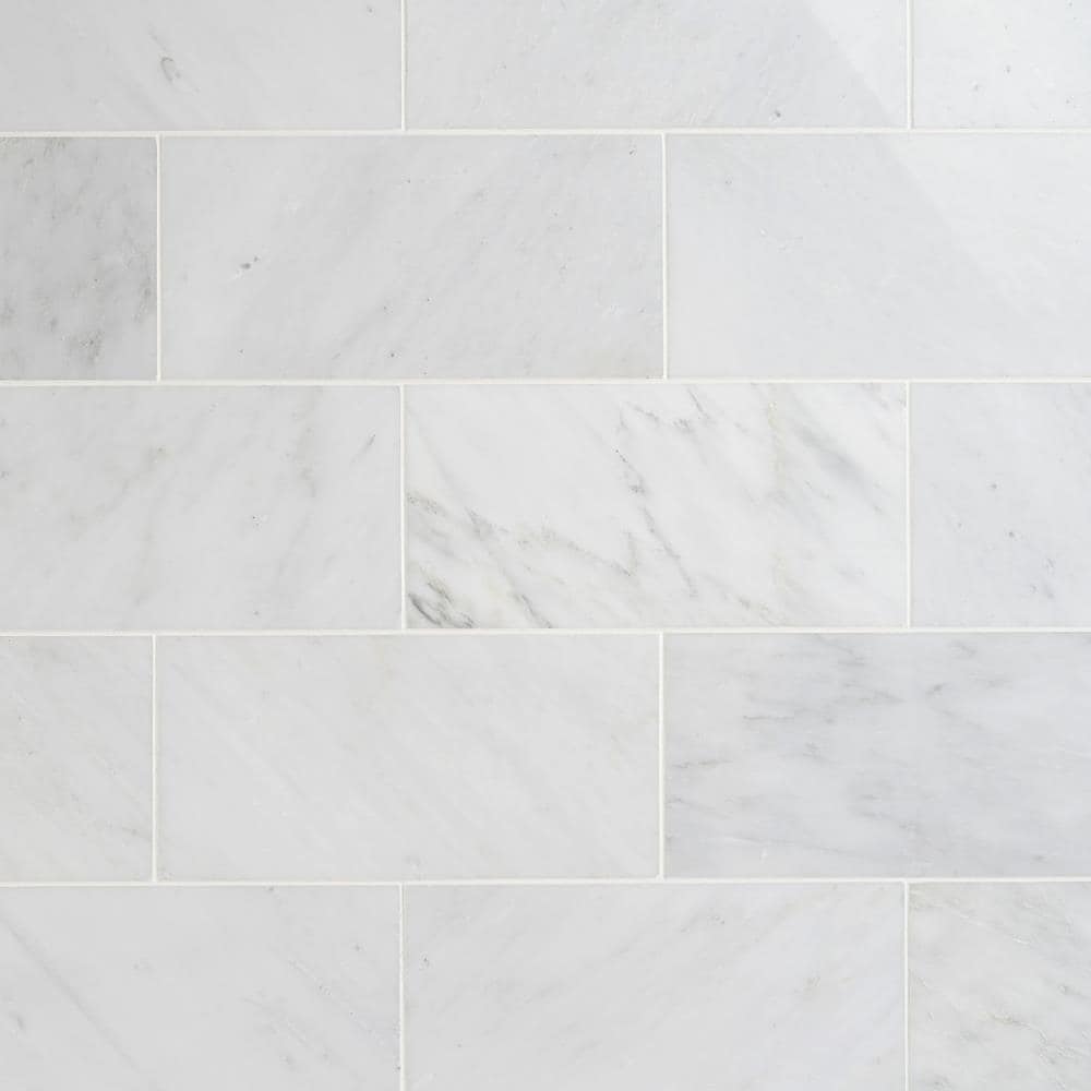 Artmore Tile Eastern Asian Statuary 6-in x 12-in Polished Natural Stone ...