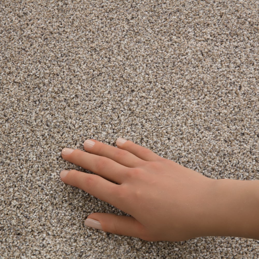 STAINMASTER 7L956-109-SAMP Carpet-Samples - View #4