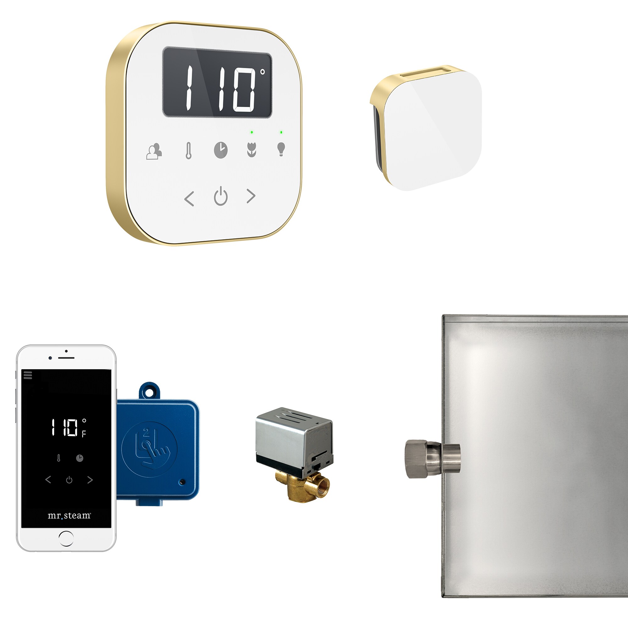 Mr. Steam ABUTLER1W-SB 120-Watts White Satin Brass Steam generator control kit