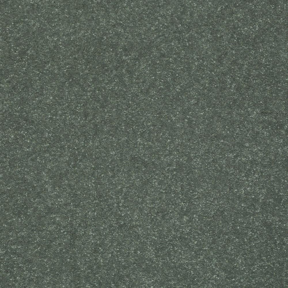 Green Carpet Samples At Lowes Com   08823201 