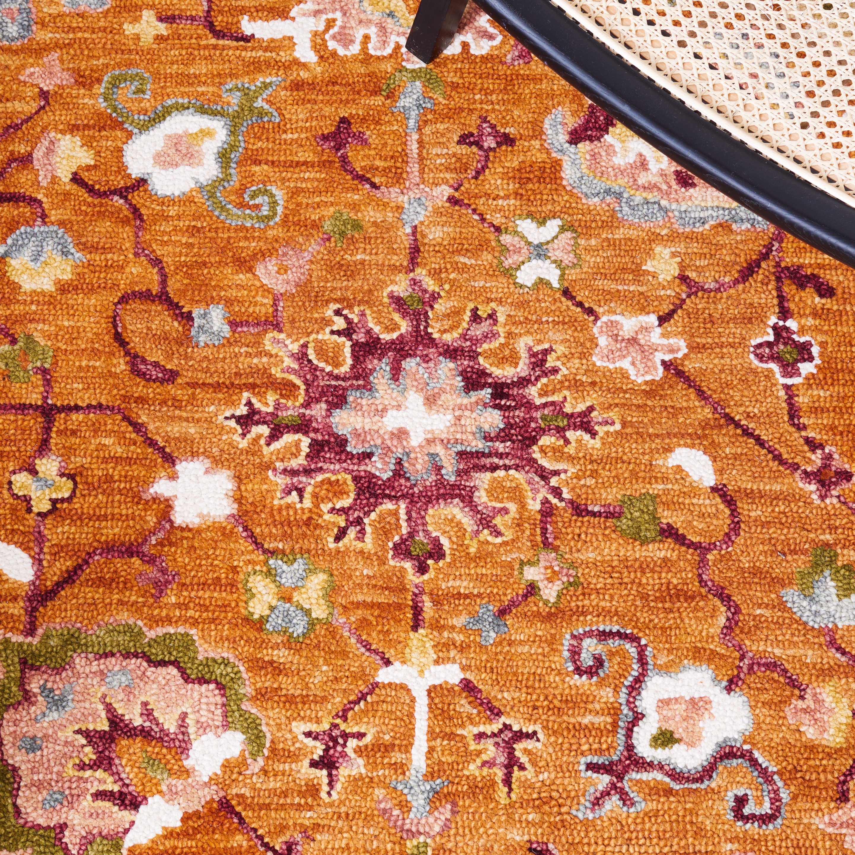 Safavieh APN148P-4 rugs - View #5