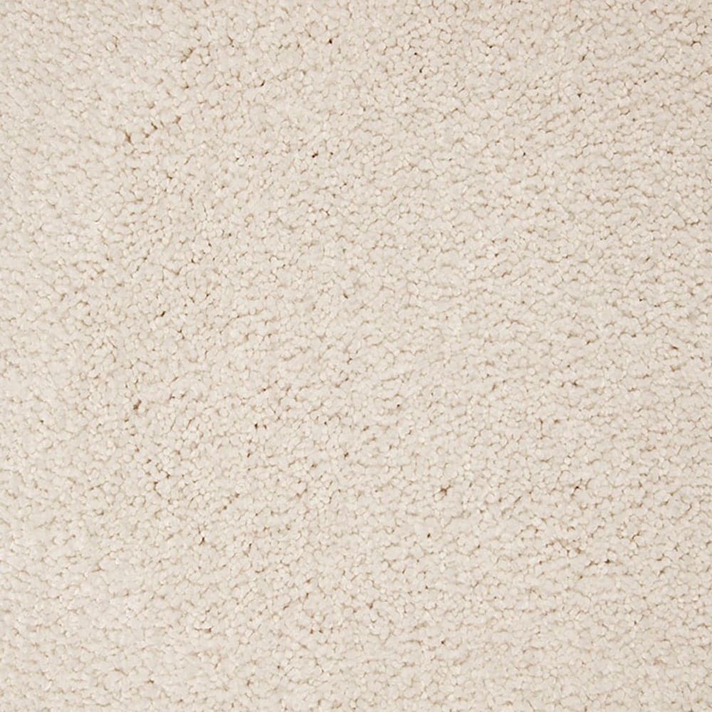 STAINMASTER PetProtect STP54-L006-0808 (Sample) Beau Dacious Snowbird Brown 48-oz sq yard Triexta Textured Indoor Carpet