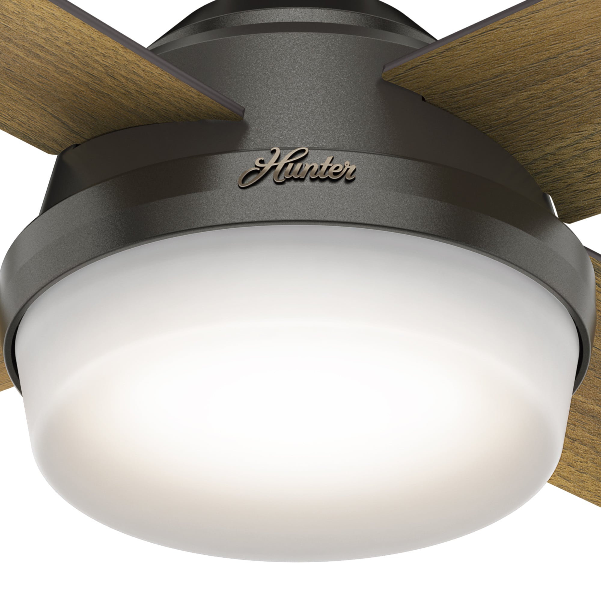 Hunter 59444 Ceiling-Fans - View #14