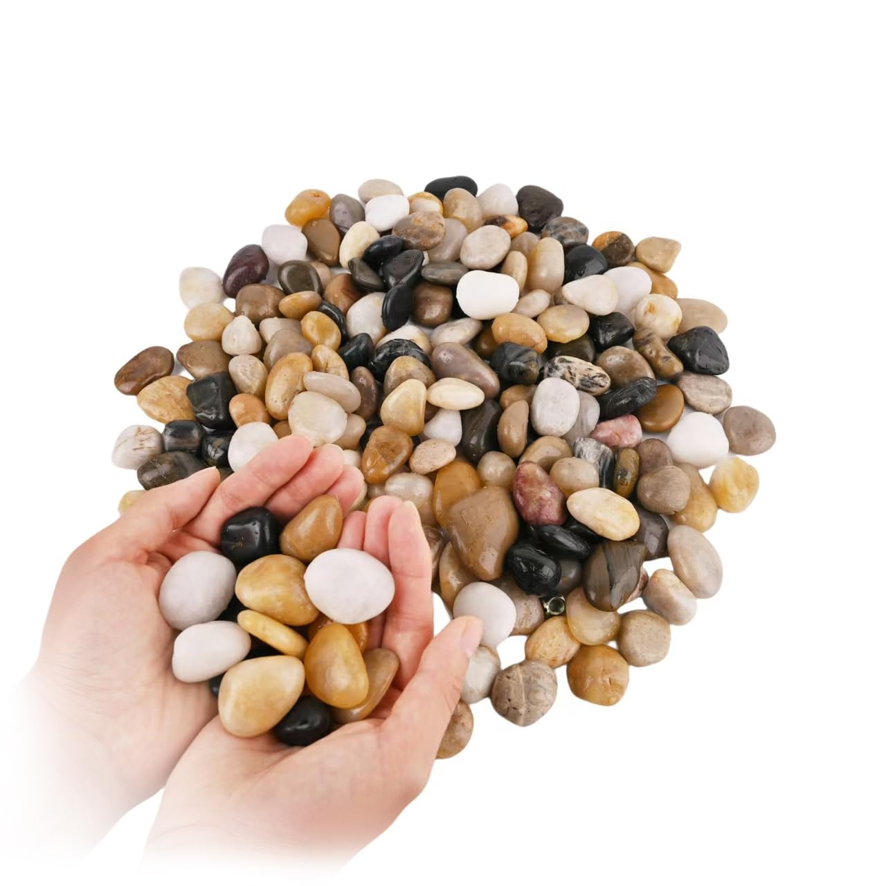Oyezvary  Natural River Rocks 1 to 2 Inch Polished Pebbles Decorative Stones for Indoor Plants Aquarium Gravel Fish Tank Vase Fillers Garden