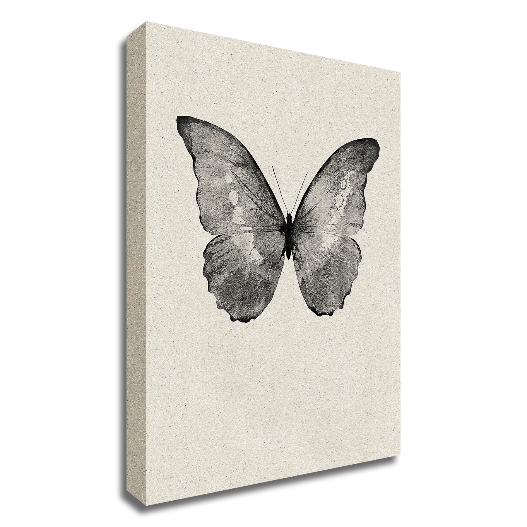 View of Tangletown Fine Art Black Butterfly On Tan Design Fabrikken 42-in H x ...