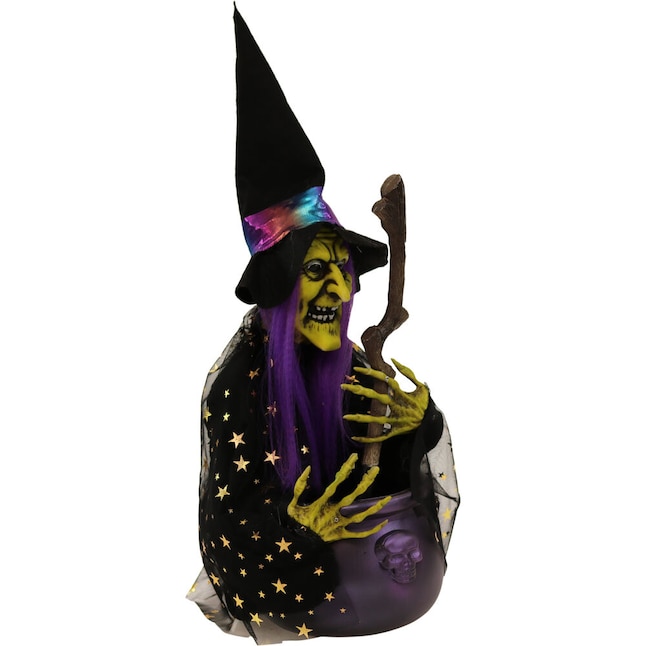 Haunted Hill Farm 1.46-ft Lighted Animatronic Witch Free Standing ...