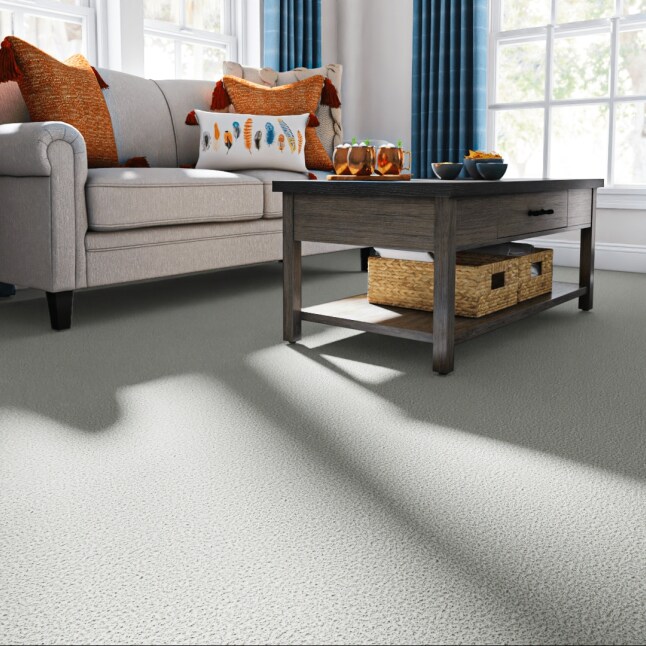 STAINMASTER STP62-12-L003 Carpet-Panel - View #2