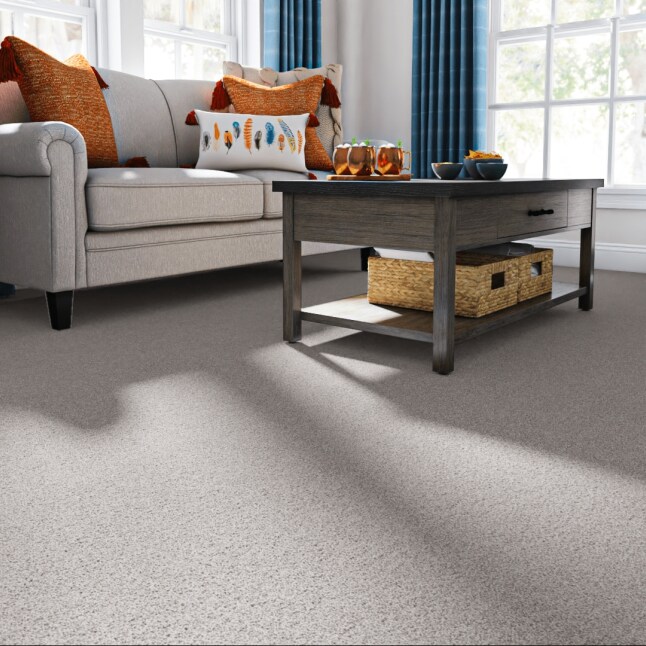 STAINMASTER PetProtect 7L90600504 Carpet-Panel - View #2
