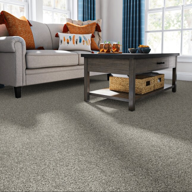 STAINMASTER FB029-304-1200-AB Carpet-Panel - View #2