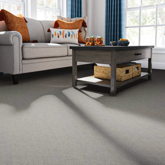 STAINMASTER PetProtect LU773-W0070-1200-AB Carpet-Panel - View #2