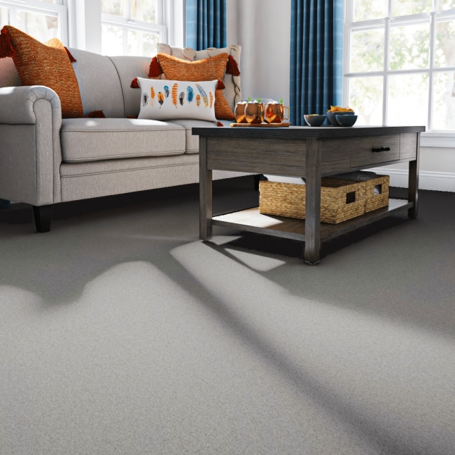 STAINMASTER 7L86800155 Carpet-Panel - View #2