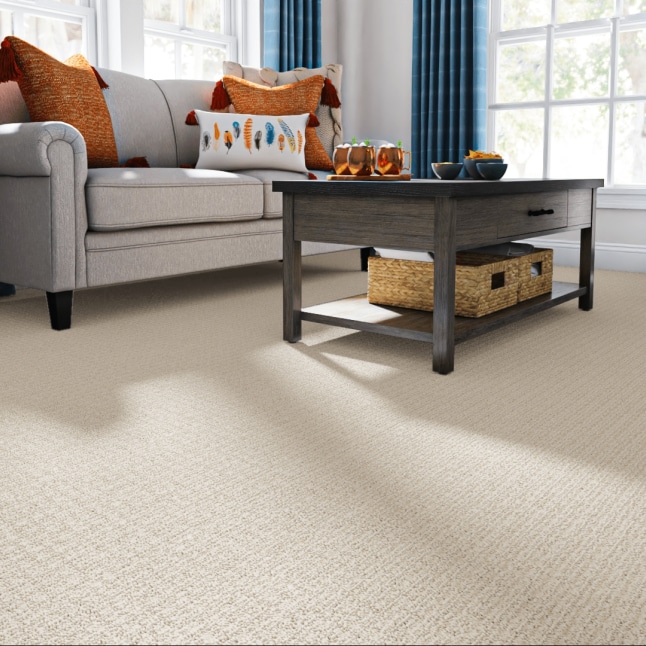 STAINMASTER PetProtect 7L885 - 104 - SAMP Carpet-Samples - View #2