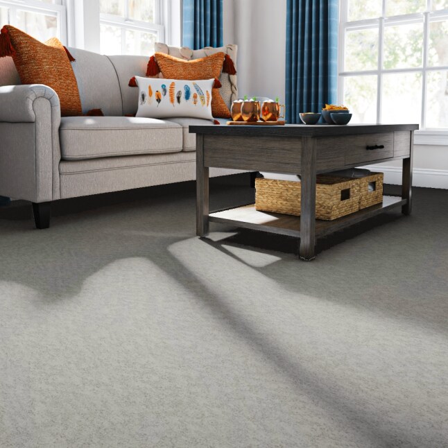 STAINMASTER PetProtect 7L85000153 Carpet-Panel - View #2