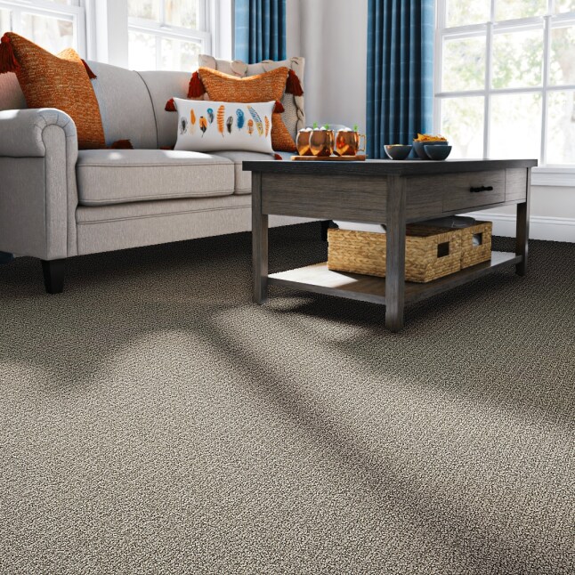 STAINMASTER S9640-945-S Carpet-Samples - View #2