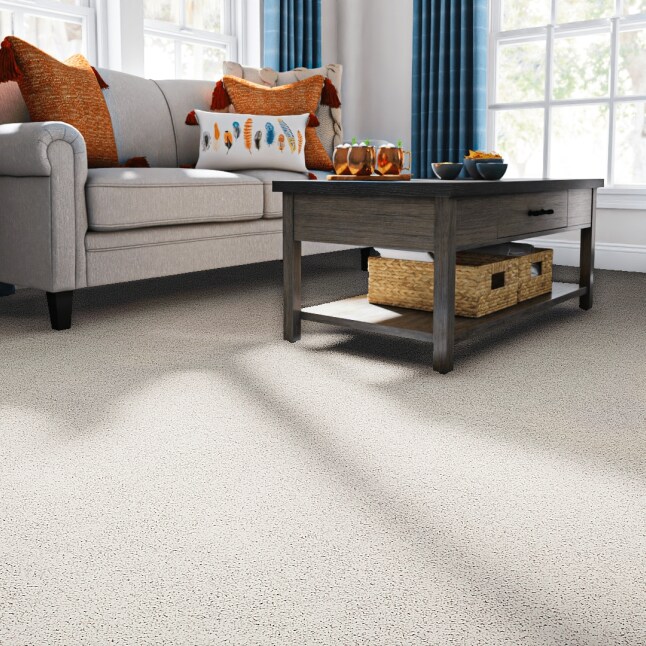 STAINMASTER 7L792-120-SAMP Carpet-Samples - View #2