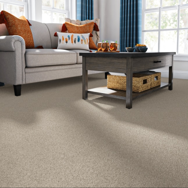STAINMASTER 7L76900106 Carpet-Panel - View #2
