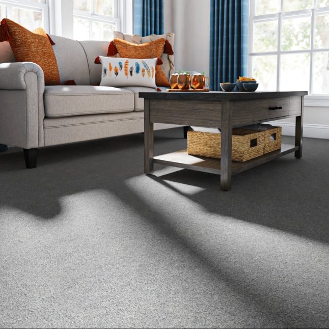 STAINMASTER 7L879 - 500 - SAMP Carpet-Samples - View #2