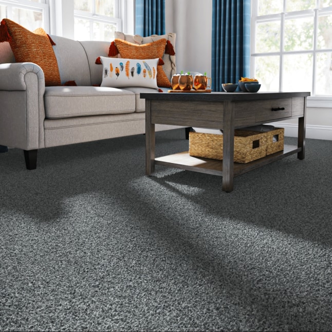 Style Selections CCV05-12-L001 Carpet-Panel - View #2
