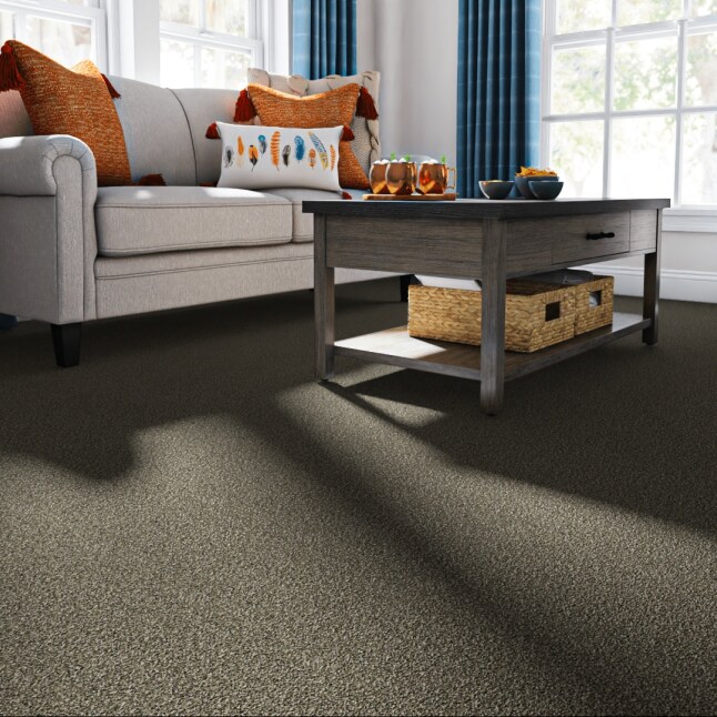 STAINMASTER STP61-12-L006 Carpet-Panel - View #2