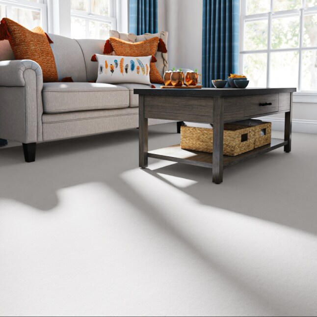 STAINMASTER PetProtect 7L89000109 Carpet-Panel - View #2