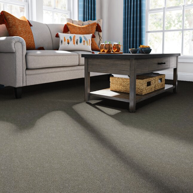 STAINMASTER PetProtect LU773-W0071-1200-AB Carpet-Panel - View #2