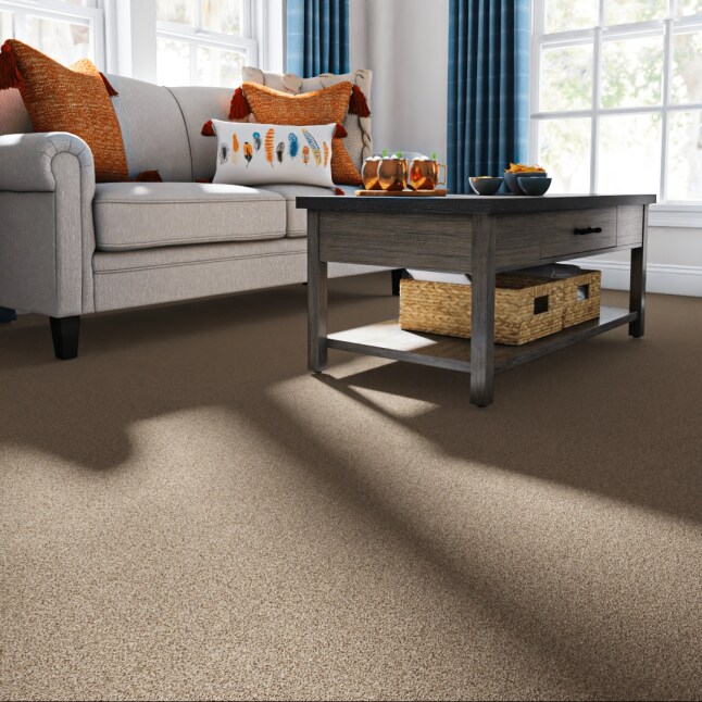 STAINMASTER STP59-12-L011 Carpet-Panel - View #2