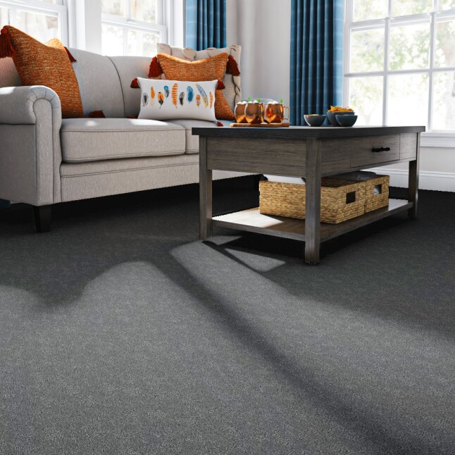 STAINMASTER PetProtect LU773-9513F Carpet-Samples - View #2