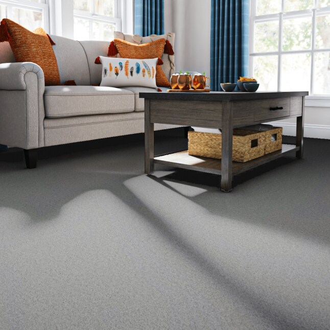 STAINMASTER 7L868 - 550 - SAMP Carpet-Samples - View #2