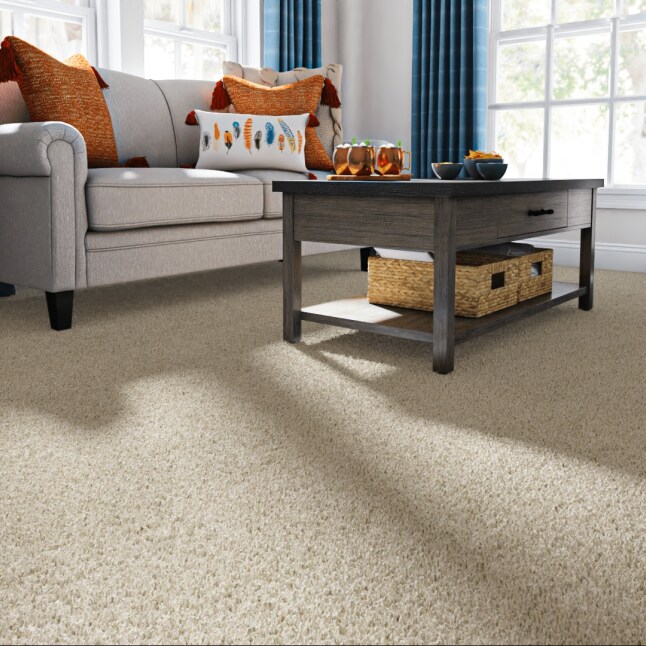 STAINMASTER CCV07-L005-0808 Carpet-Samples - View #2