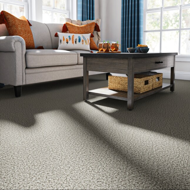 STAINMASTER STP61-12-L010 Carpet-Panel - View #2