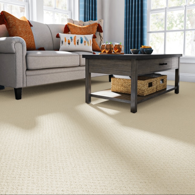 STAINMASTER 7L905 - 184 - SAMP Carpet-Samples - View #2