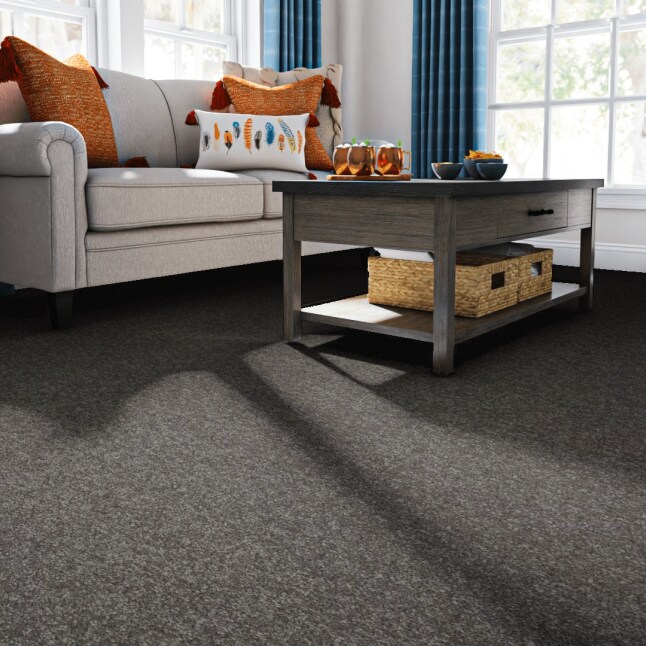 STAINMASTER 7L76900701 Carpet-Panel - View #2