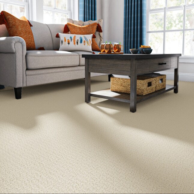 STAINMASTER 7L903 - 182 - SAMP Carpet-Samples - View #2