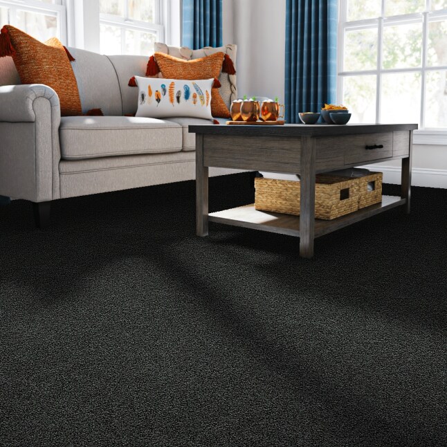 STAINMASTER STP35-12-L011 Carpet-Panel - View #2