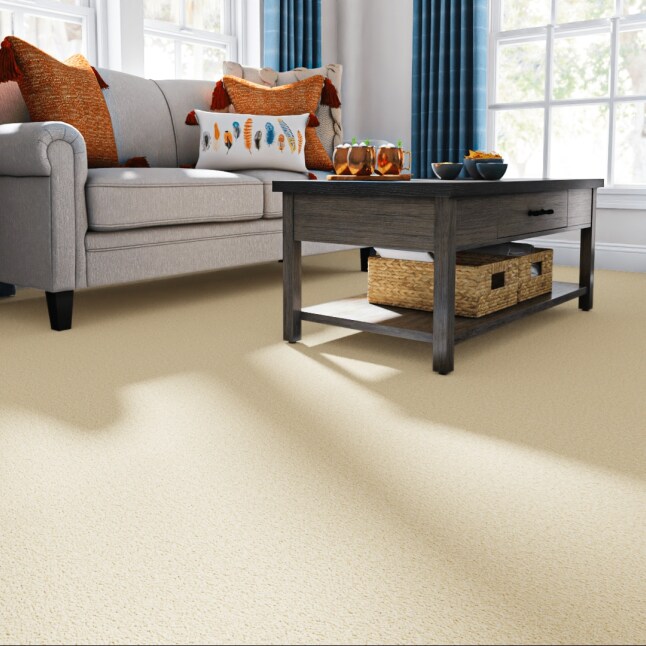 STAINMASTER PetProtect STP56-12-L018 Carpet-Panel - View #2