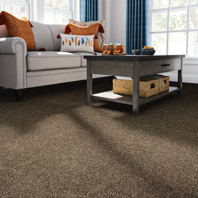 STAINMASTER S8744-888-S Carpet-Samples - View #2