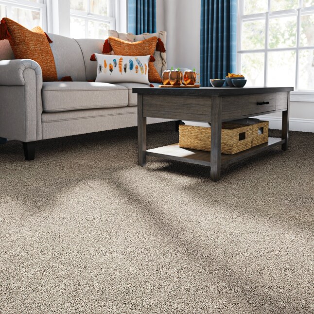 STAINMASTER S9260-948-1200-MO Carpet-Panel - View #2
