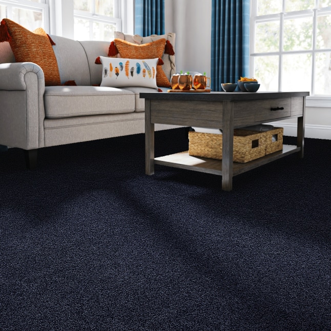 STAINMASTER PetProtect 7L883 - 404 - SAMP Carpet-Samples - View #2