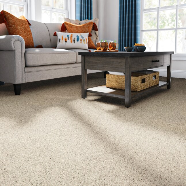 STAINMASTER 7L793-107-SAMP Carpet-Samples - View #2