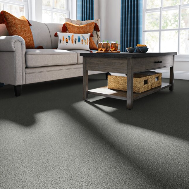 STAINMASTER STP58-L006-0808 Carpet-Samples - View #2