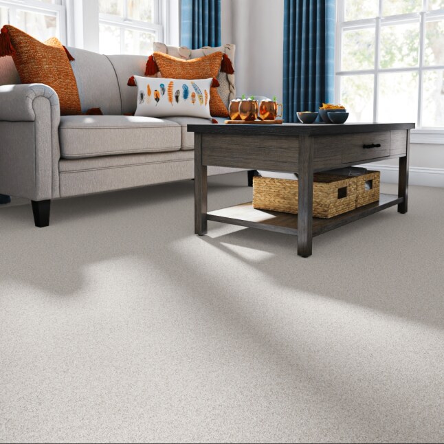 STAINMASTER 7L88600101 Carpet-Panel - View #2