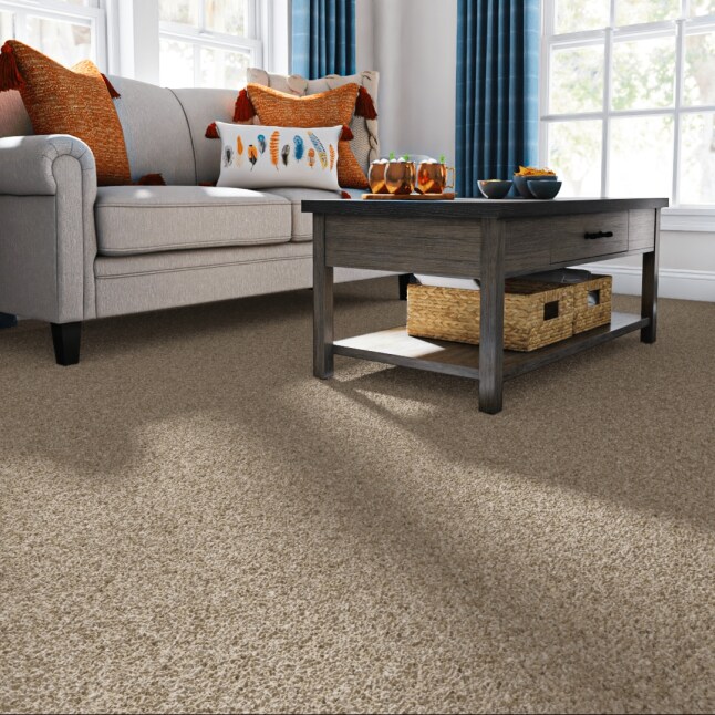 STAINMASTER S9977-20003-S Carpet-Samples - View #2