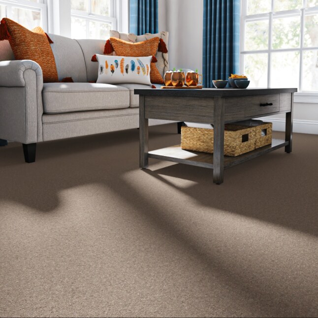 Style Selections 7L84600701 Carpet-Panel - View #2