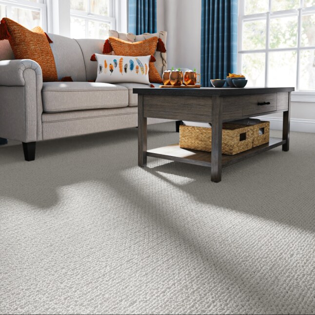 STAINMASTER 7L87300540 Carpet-Panel - View #2