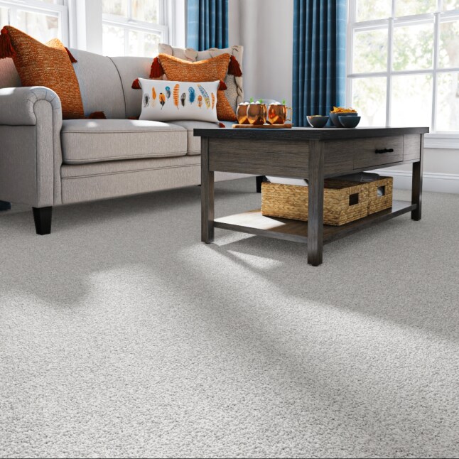 STAINMASTER 7L7980538T Carpet-Panel - View #2