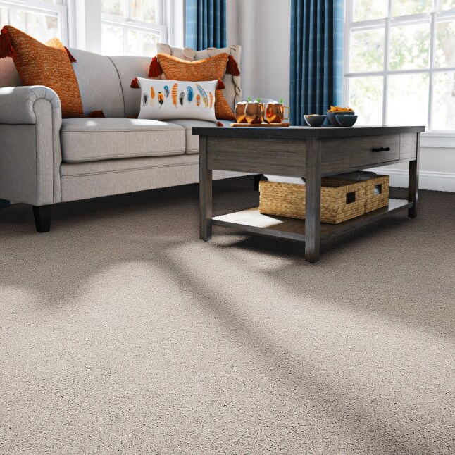 STAINMASTER STP69-12-L008 Carpet-Panel - View #2