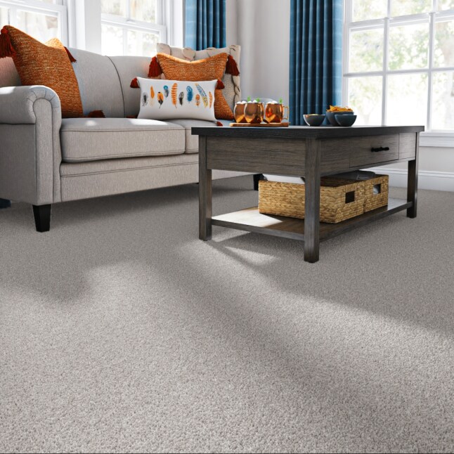 STAINMASTER PetProtect 7L85800552 Carpet-Panel - View #2
