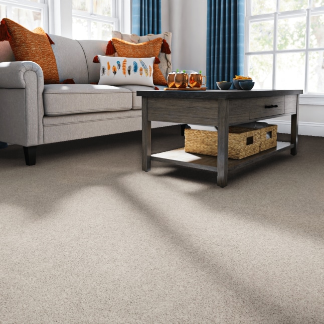STAINMASTER 7L79100524 Carpet-Panel - View #2