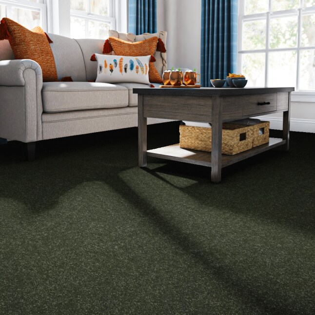 STAINMASTER 7L86400300 Carpet-Panel - View #2