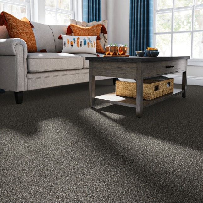 STAINMASTER LU483-9513G Carpet-Samples - View #2